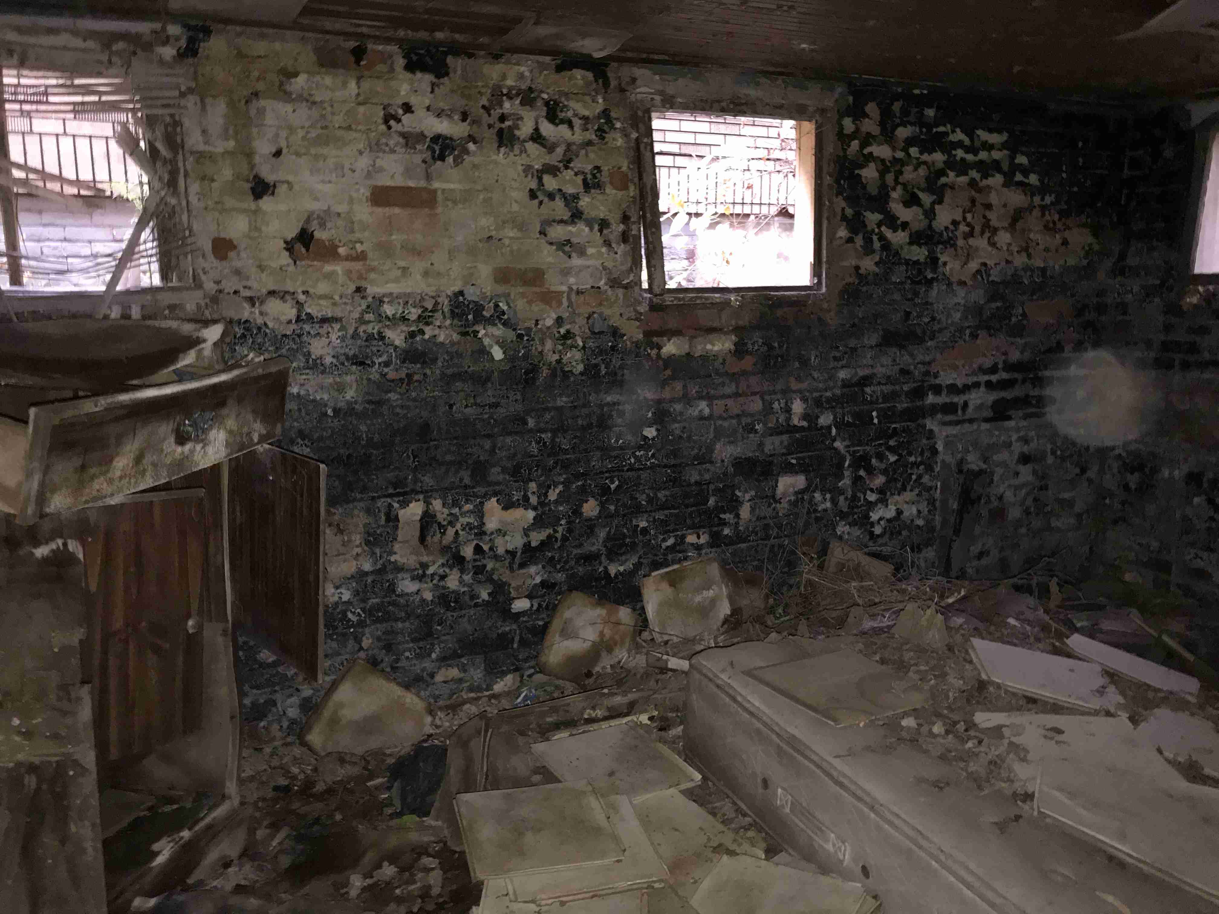 Photo Nov 05, 7 48 44 AM.jpg